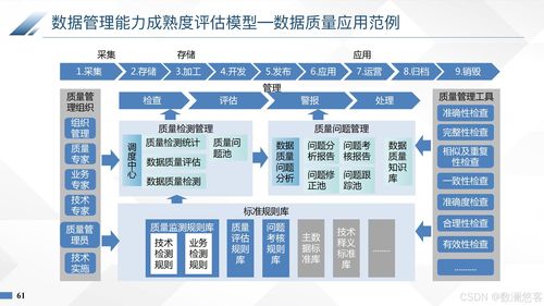 AI護(hù)航 企業(yè)數(shù)據(jù)治理的安全蛻變與數(shù)據(jù)處理服務(wù)